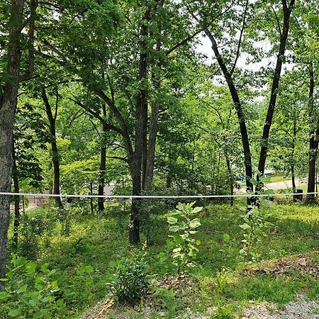 Cool Valley Rest Rocky Mount Экстерьер фото
