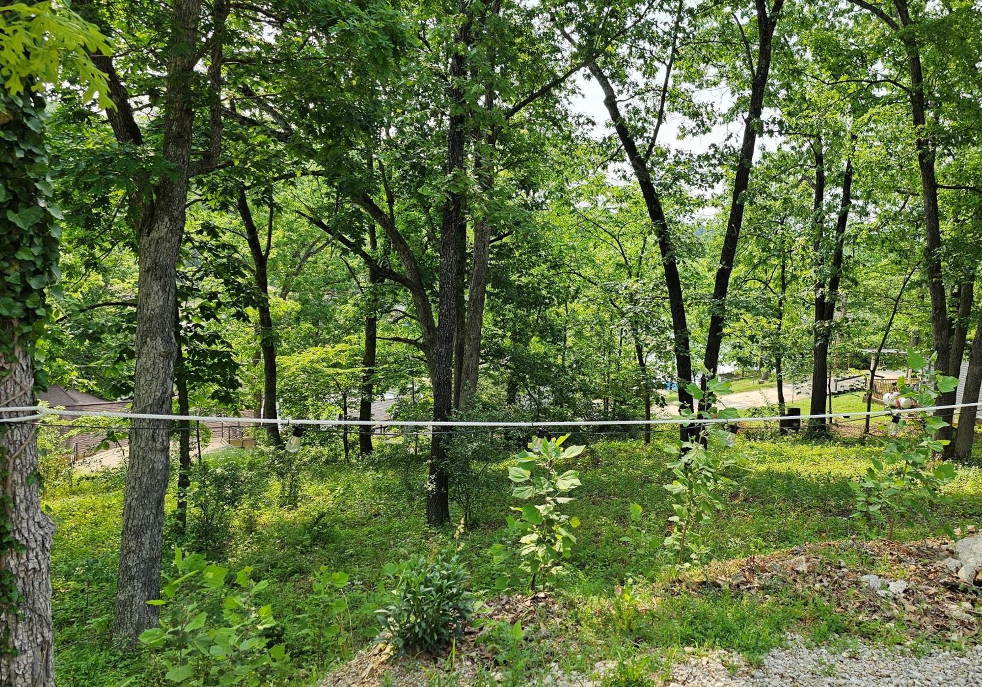 Cool Valley Rest Rocky Mount Экстерьер фото